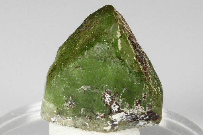 Olivine Peridot Crystal with Ludwigite Inclusions - Pakistan #185272